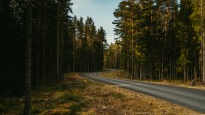 Un Circuit en Van Aménagé autour de la Camargue et du Gard