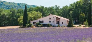 Road Trip à travers la Provence en 7 Jours